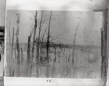 [House on a lake]