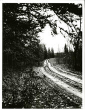 Trail to Old Fort Pitt