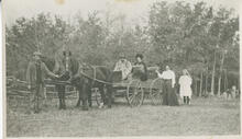 Horse and buggy party