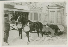 Mr. Ernest Beckton's drivers Tootsie and Empress