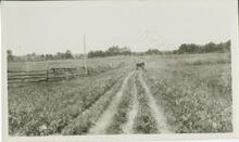 Old Telegraph Trail in Touchwood Hills, 1923