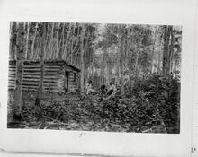 [Log cabin near the lake]