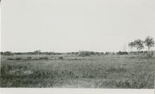 Park land in Valhalla District north of Hylthe