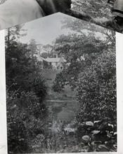 [House through the trees]