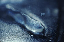 Candle ice with blue polarizing filter