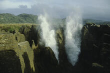 Twin geysers