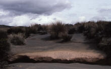 Tongariro National Park