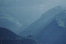 Valley of Longevity