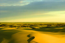 Dawn light on the dunes