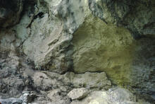 Oyster pool