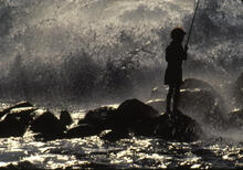 Dramatic surf, North shore