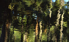 Reflections at Coco Palms, Wailua
