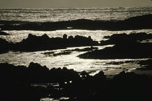 Coastline
