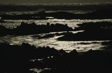 Coastline
