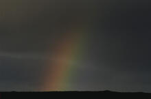 Rainbow and birds