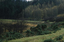 Loch at Kintail mountains