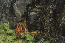 Loch at Kintail mountains