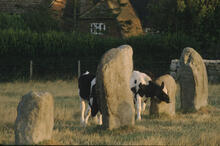 Avebury stone circle