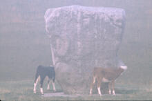 Avebury stone circle