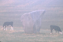 Avebury stone circle
