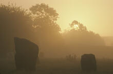 Avebury stone circle