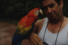 Makaw on man's arm.