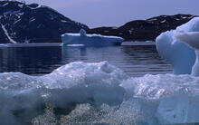 Coastal landscapes with icebergs