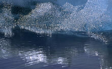 Coastal landscapes with icebergs
