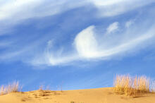 Sand dune and grasses