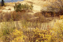 Spirit Sands