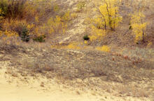 Spirit Sands