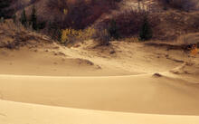 Spirit Sands