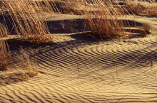 Landscapes at Spirit Sands