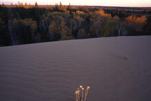 Landscapes at Spirit Sands