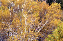 Landscapes at Spirit Sands