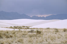 White Sands National Monument