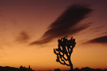 Easter morning sky