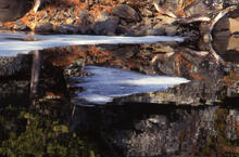 Ice flow on pond