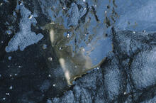 Pool abstracts