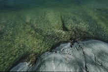 Detail of rock and water
