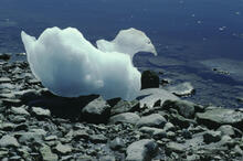 Ice formations