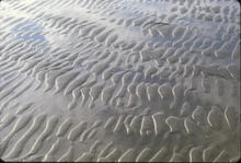 Sandbars