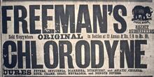 1891 Times of India Freeman's Chlorodyne