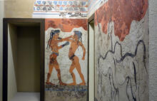 Boxer Fresco