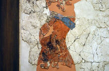 Boxer Fresco