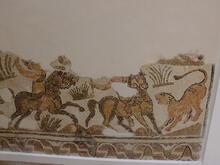 Mosaic with Amazon Hunt