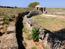 Amphitheatre at Paestum