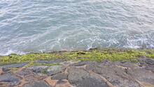 East Coast Park 60