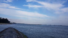 East Coast Park 63