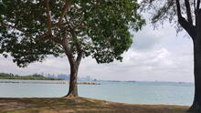 Kusu Island 39